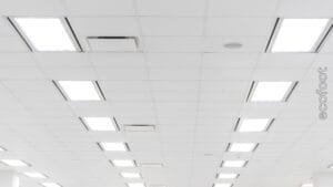 commercial LED lights installed in an office space