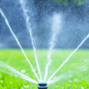 A close-up of a sprinkler head spraying multiple streams of water on green grass, representing water usage and efficiency.