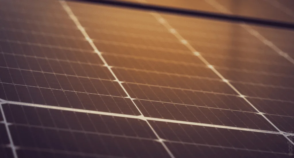 Close-up view of solar panels installed on a rooftop, showcasing the reflective surface and clean grid lines of the photovoltaic cells. 