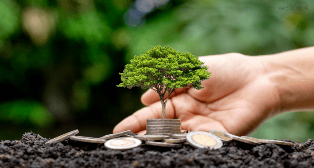 Hand holding a small tree growing from soil alongside LED lights, symbolising government rebates and sustainable energy initiatives in Victoria.